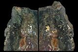 Green Jasper Replaced Petrified Wood Bookends - Oregon #158883-1